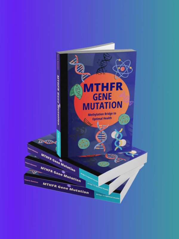 The Beginner's Guide To MTHFR Gene Mutation - eBook