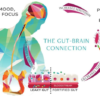 RESTORE FOR GUT HEALTH